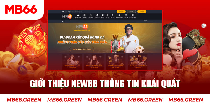 cwin333 c1 gà chọi