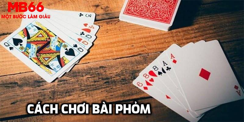 cwin333 đá gà trực tiếp 67