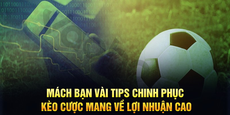 cwin333 đăng nhập phỏm hàng đầu
