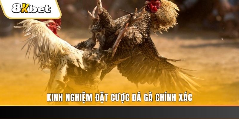 cwin333 xổ số thứ bảy hàng tuần