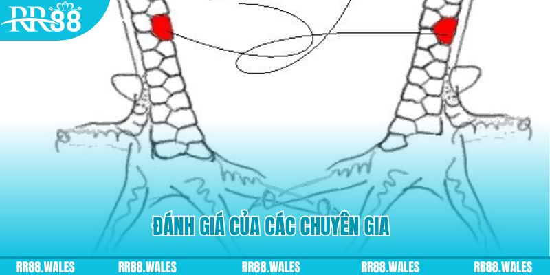 cwin333 tải game đánh bài tiến lên miền nam về máy tính