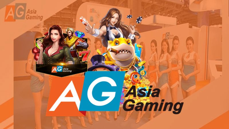 cwin333 đăng nhập poker đổi thưởng