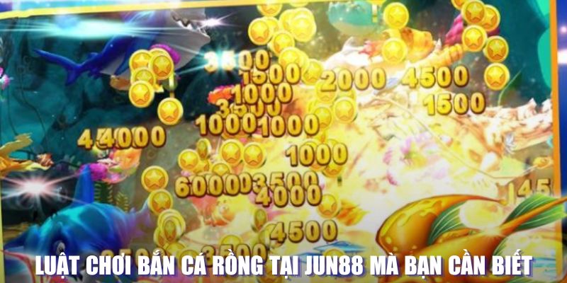 cwin333 xổ số đài hà nội
