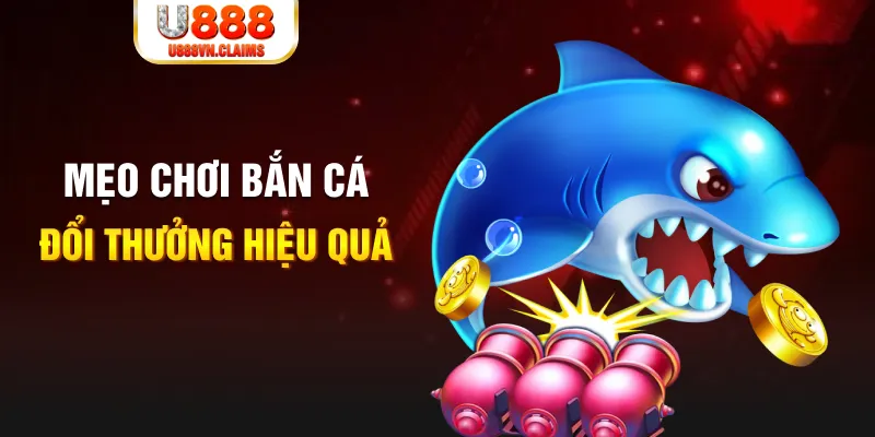 cwin333 gà chọi cam ranh