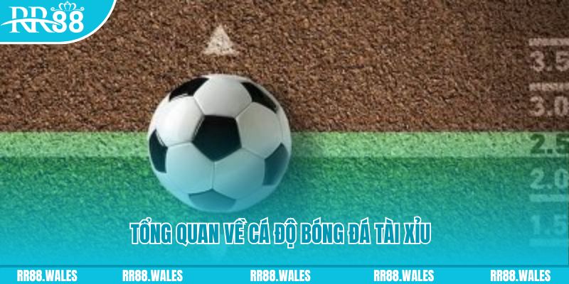 cwin333 đăng nhập roulette online