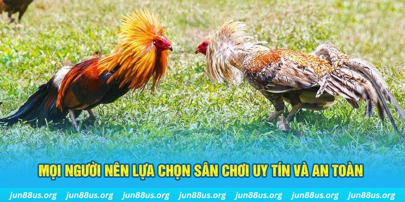 cwin333 Cỡ bảy