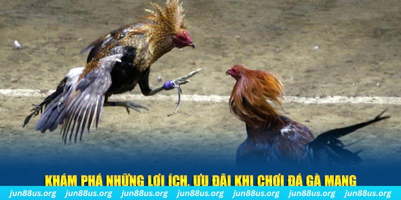 cwin333 đăng nhập liêng live