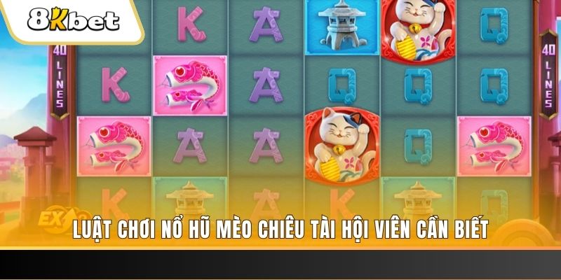 cwin333 gà chọi cu cần