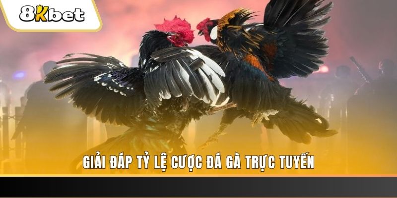 cwin333 ban ca online