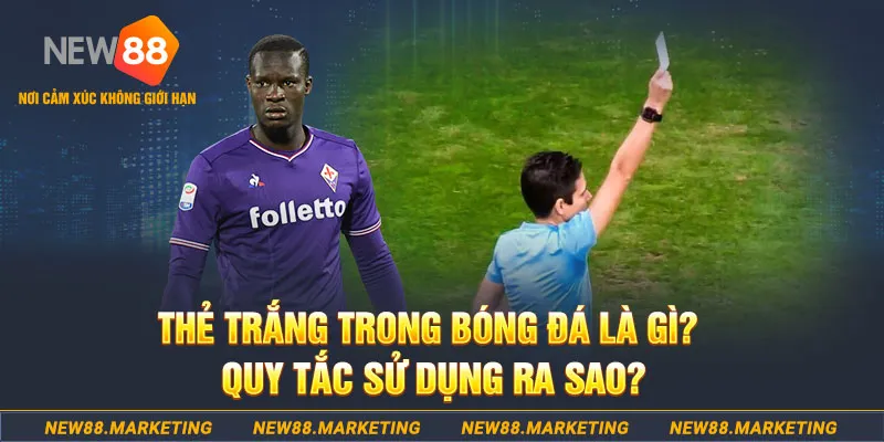 cwin333 đăng nhập sòng bạc hôm nay