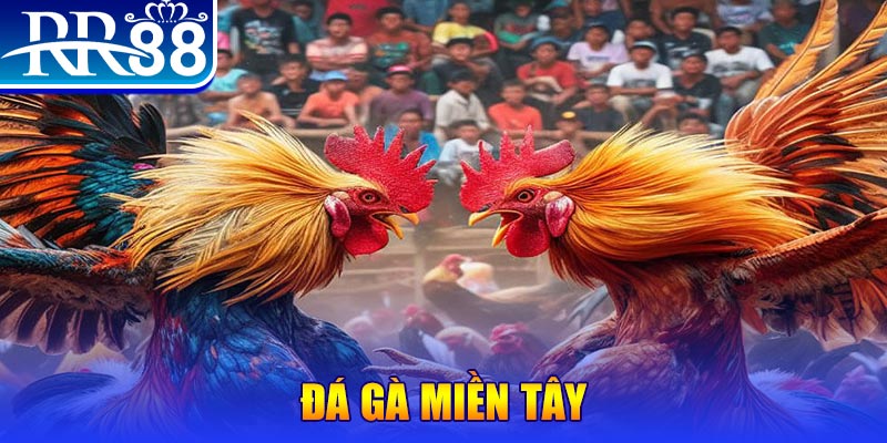 cwin333 người chia bài trong casino gọi là gì